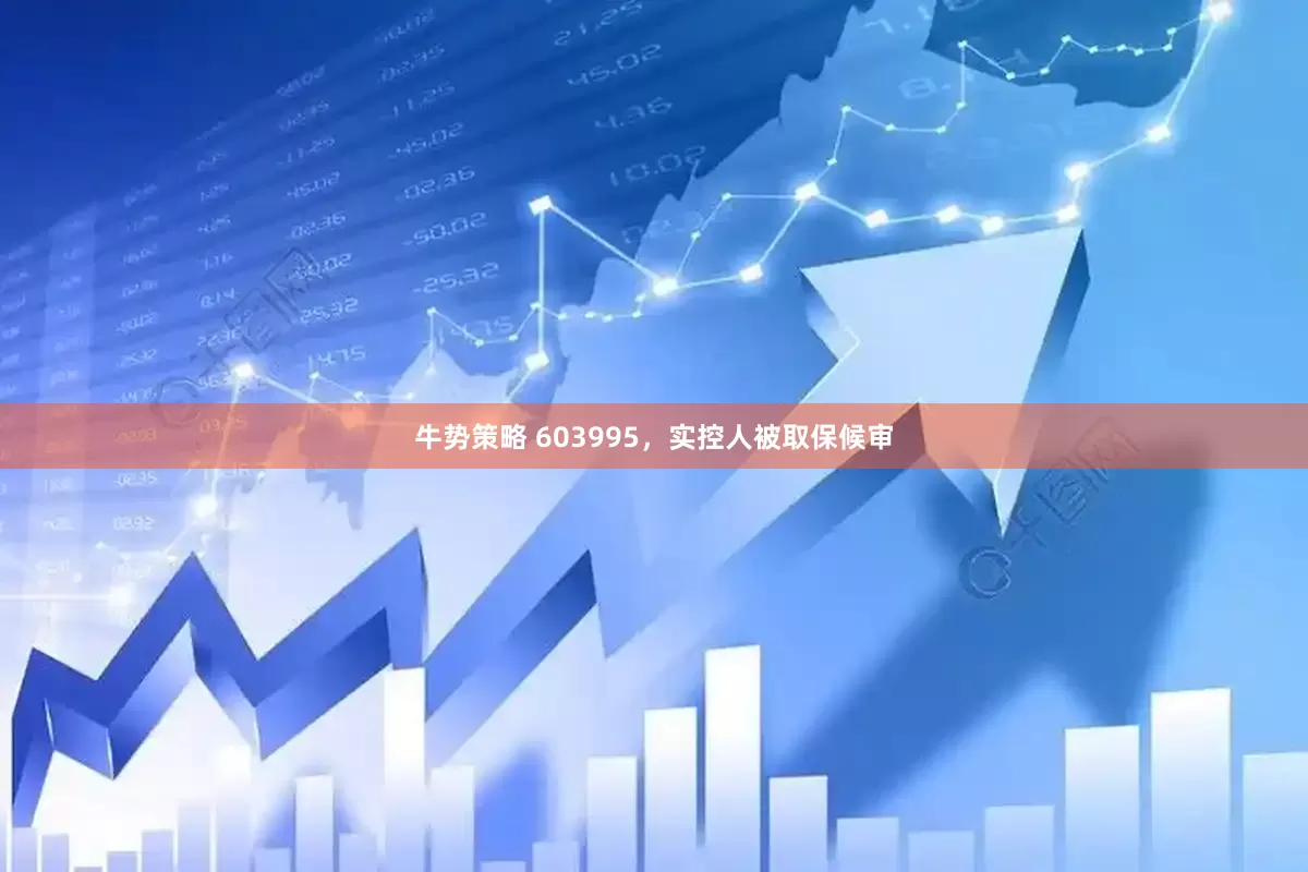 牛势策略 603995，实控人被取保候审