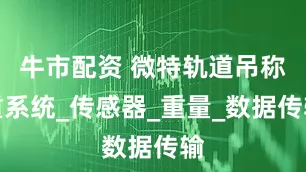 牛市配资 微特轨道吊称重系统_传感器_重量_数据传输