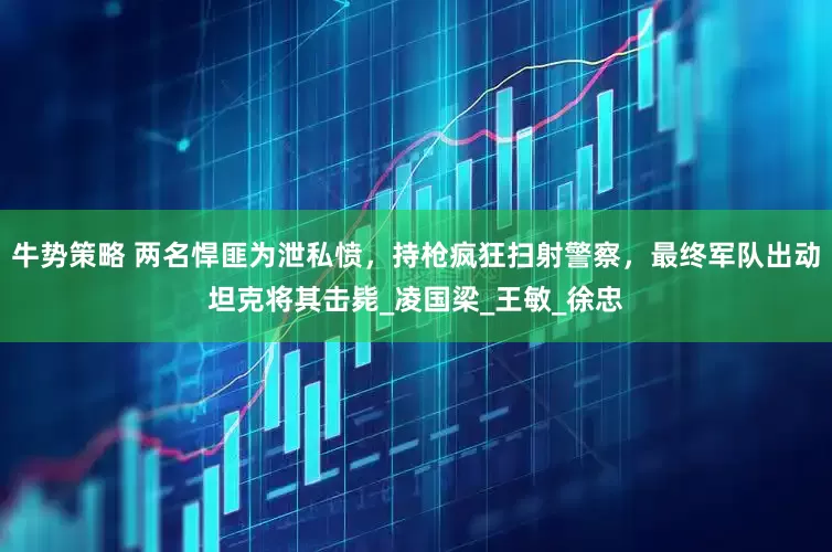 牛势策略 两名悍匪为泄私愤，持枪疯狂扫射警察，最终军队出动坦克将其击毙_凌国梁_王敏_徐忠
